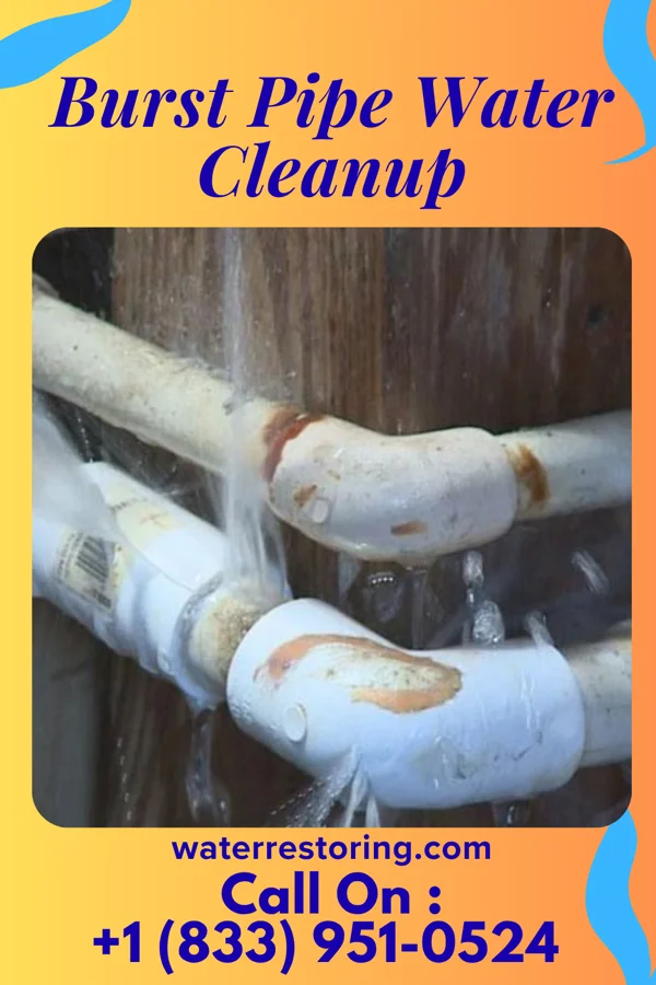 Burst Pipe Water Cleanup in Franklin, LA